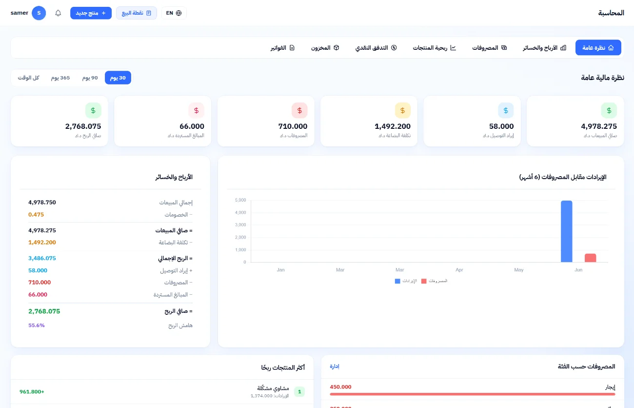 Accounting overview with profit, expenses and revenue